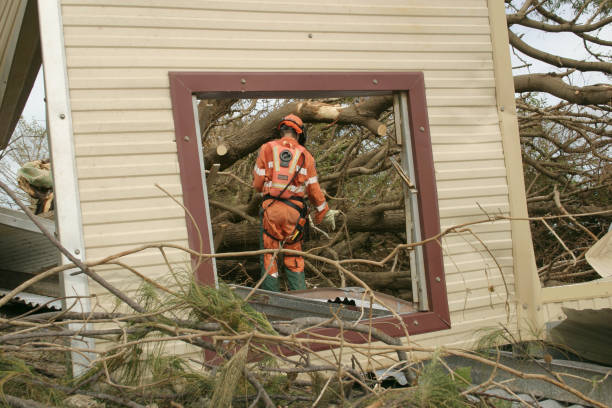 How Our Tree Care Process Works  in  Jonesboro, IL